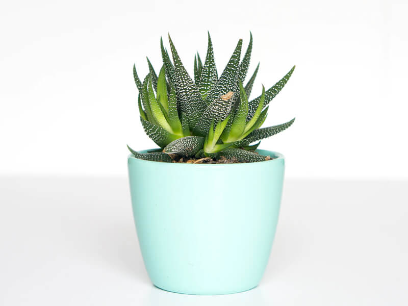 My Car - Vehicle Tracking System